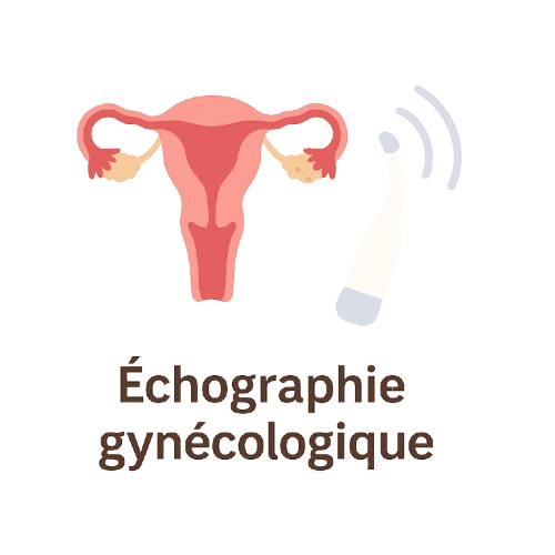 Échographie gynécologique