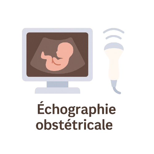 Échographie obstétricale