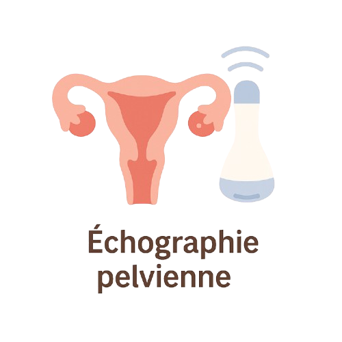 Échographie pelvienne